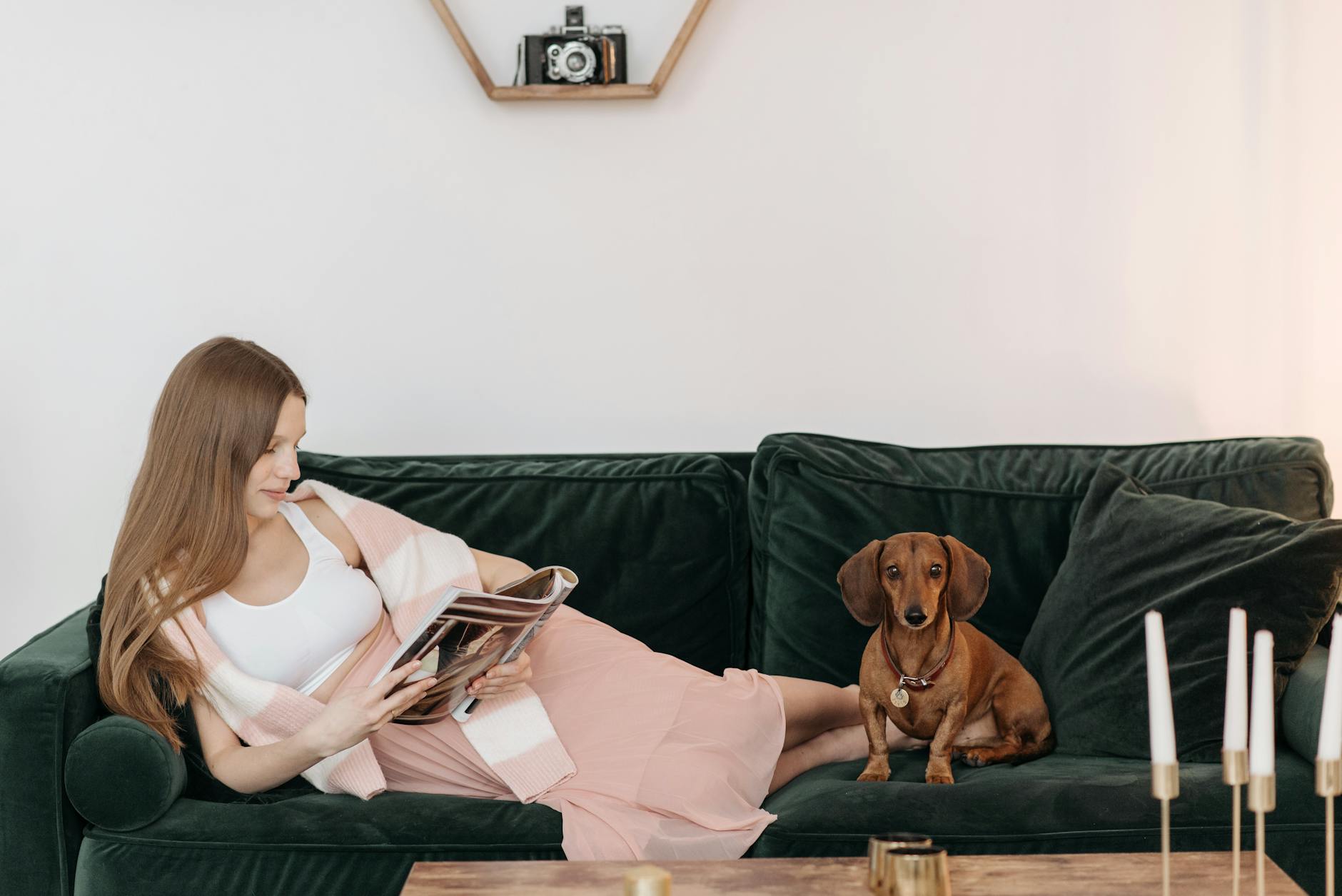 Kostenloses Stock Foto zu aktivitäten für schwangere frauen, chillen, dackel